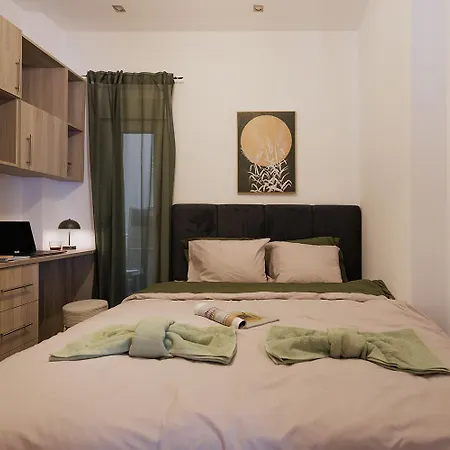 Downtown Cozy Flat